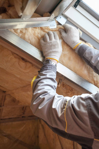 Best Insulation Maintenance and Repair in Mford, IL